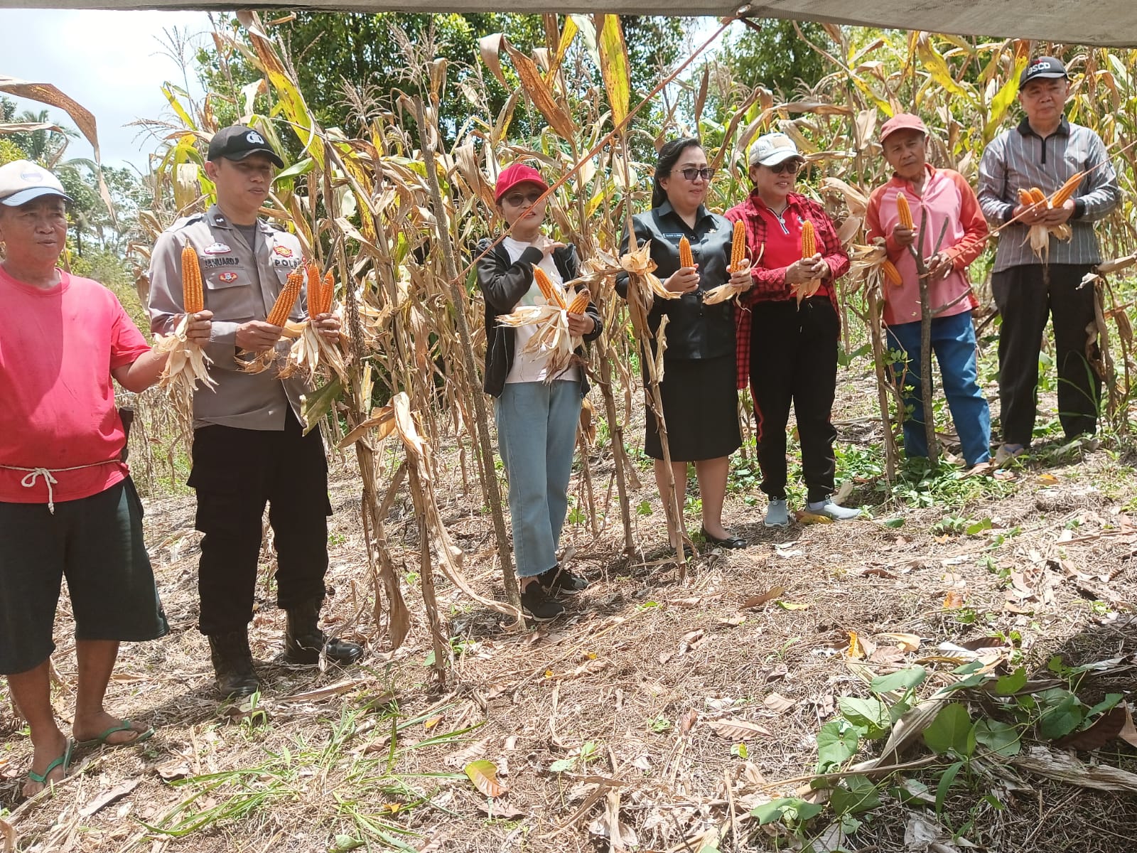 Kolaborasi Polsek dan Pemdes Hasilkan 400 Kg Jagung